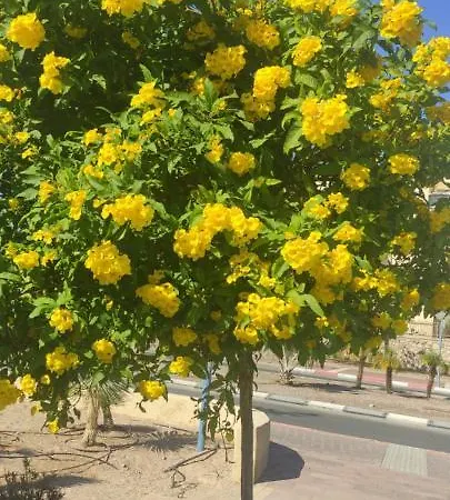 אילת Apartment With Terrace And Parking מראה חיצוני תמונה